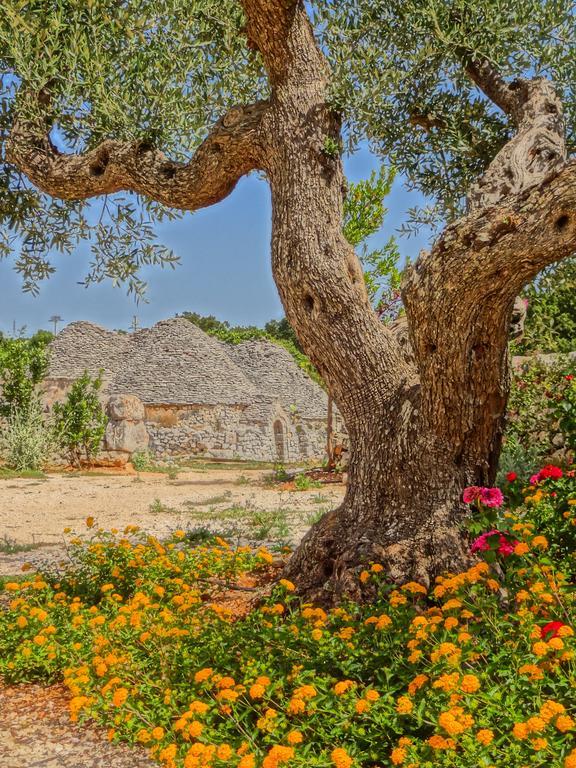 Borgo Sardedda Suites Локоротондо Номер фото